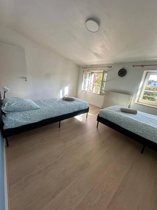Apartamento Le Leon Cladel T3 Proche Parking Gratuit Montauban Exterior foto